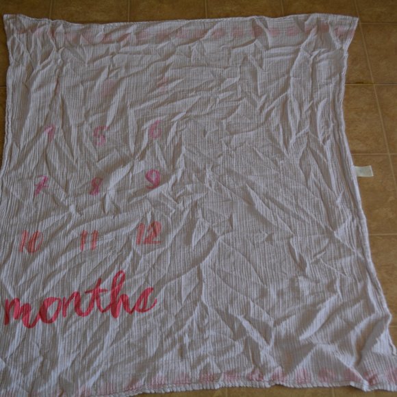 Cloud Island Pink Baby Monthly Milestones Photography Backdrop Muslin Blanket - Picture 4 of 7